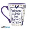Чашка HARRY POTTER Letter from Hogwarts кружка Гарри Поттер письмо из Хогвартса