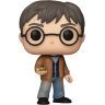 Фигурка Funko Harry Potter фанко Гарри Поттер 196