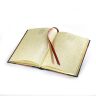 Блокнот Harry Potter - Gryffindor Journal (Hardcover)